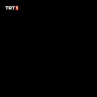 a man with a beard is smiling in front of a trt 1 logo