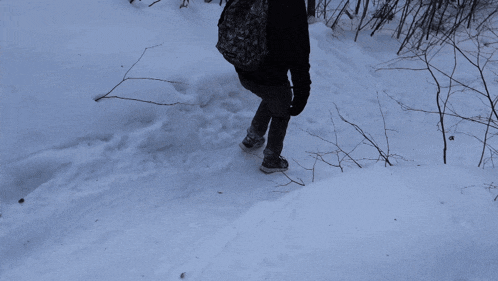 a person with a backpack is walking through a snowy forest