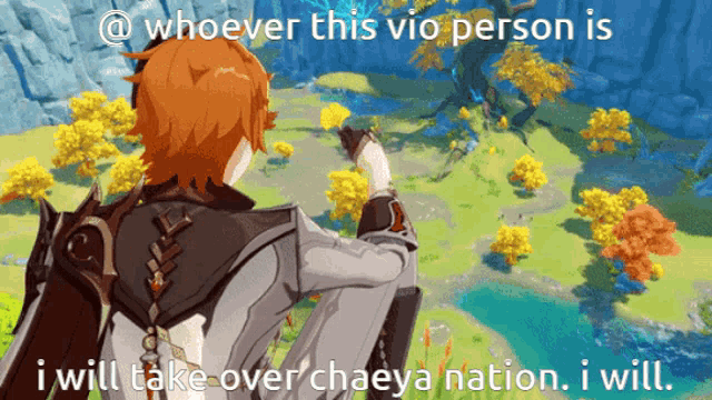 a video game character with the caption whoever this vio person is i will take over chaeya nation
