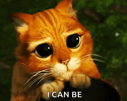 a cat with a sad look on its face and the words i can be above it