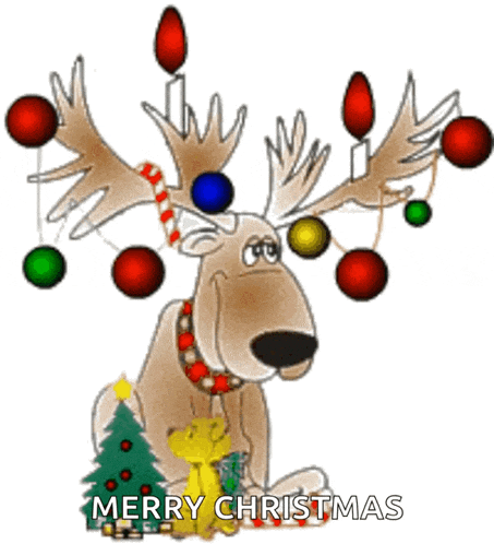a cartoon reindeer with christmas lights on its antlers and the words merry christmas