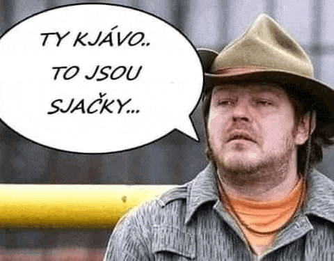 a man wearing a cowboy hat is talking with a speech bubble above his head .