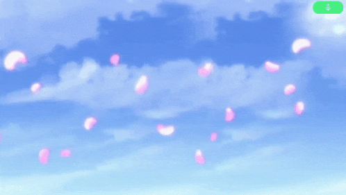 cherry blossom petals falling from the sky in slow motion