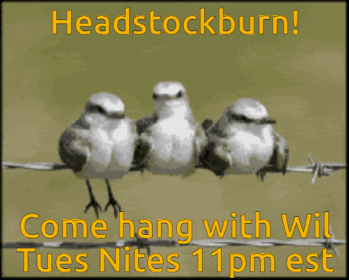 three birds perched on a barbed wire fence with the words headstockburn come hang with wit tues nite 11pm est