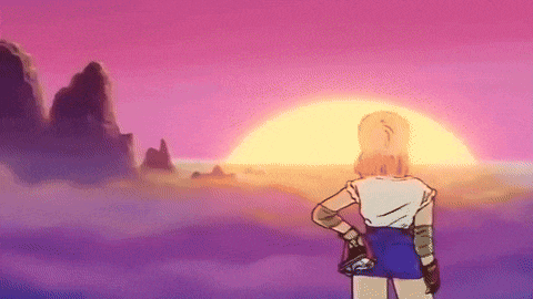 a woman is standing in front of a sunset .
