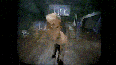 The Offspring Music Video GIF - The Offspring Music Video The Kids Arent Alright GIFs