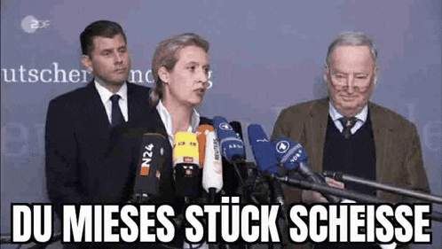 a group of people standing in front of microphones with the words du mieses stuck scheisse written below them .