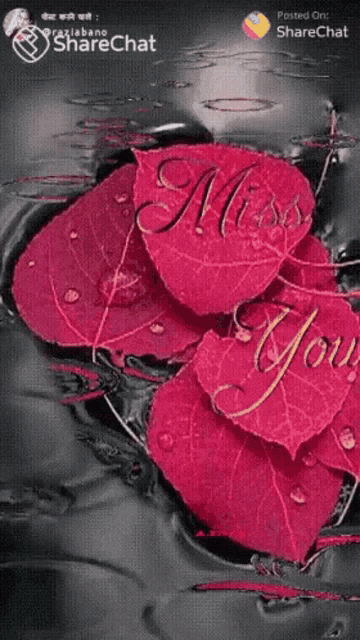 a group of red leaves with the words miss you written on them