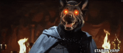 a picture of a dog with red eyes and the words " you have chosen " below it