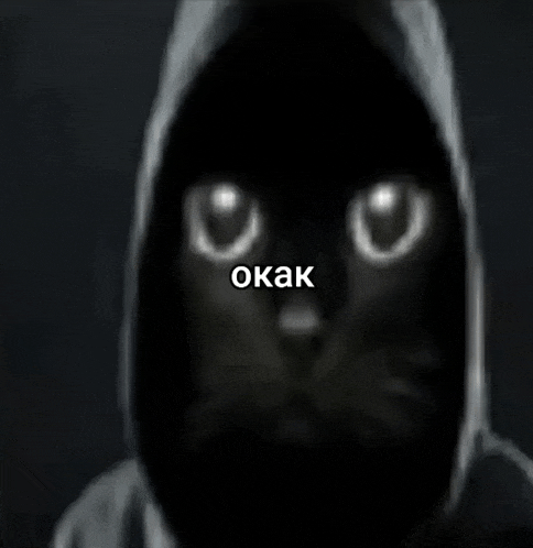 a black cat wearing a hooded jacket with the words " okak " written above it