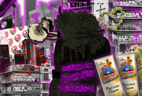 a purple and black poster with a silhouette of a man and the words malecka 's american wasteland on it