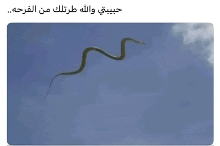 a snake is flying in the sky with arabic writing on it .