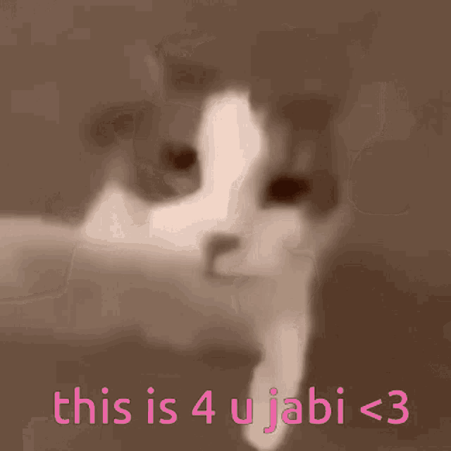 a blurred image of a cat with the words " this is 4 u jabi < 3 " below it