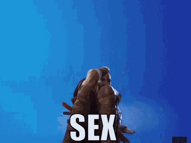 a man with a beard and a sword is standing in front of a blue background with the word sex .