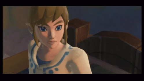 Zelda Skywardsword GIF