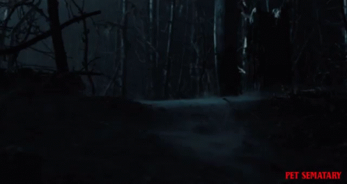 Woods Forest GIF - Woods Forest After Dark GIFs