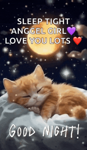 a cat is sleeping in a bed with the words `` sleep tight angel girl love you lots good night '' .