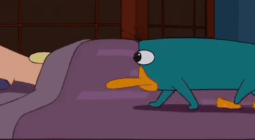 Phineas And Ferb Perry The Platypus GIF