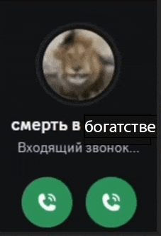 a phone screen with a picture of a lion in the center