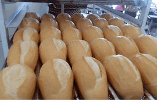 a bunch of loaves of bread sitting on a tray