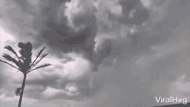 a video of a lightning storm with the words viral hog on the bottom