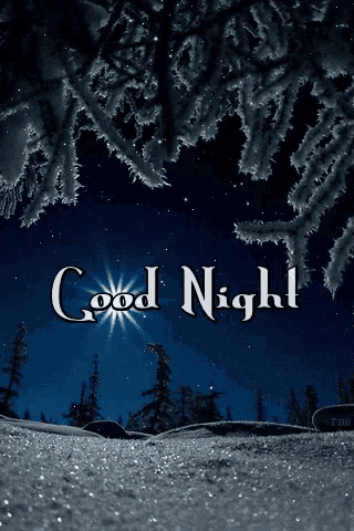 a picture of a snowy forest with the words good night written on it