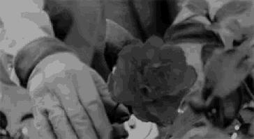 a black and white photo of a person holding a rose in their hand .