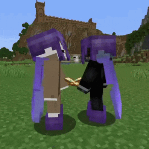 two minecraft characters standing next to each other in a field .