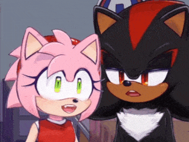 shadow the hedgehog and amy the hedgehog are looking at each other