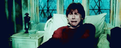 Ron Weasley Harry Potter GIF - Ron Weasley Harry Potter Cry GIFs
