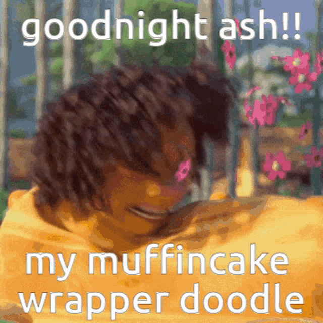a meme that says goodnight ash on it