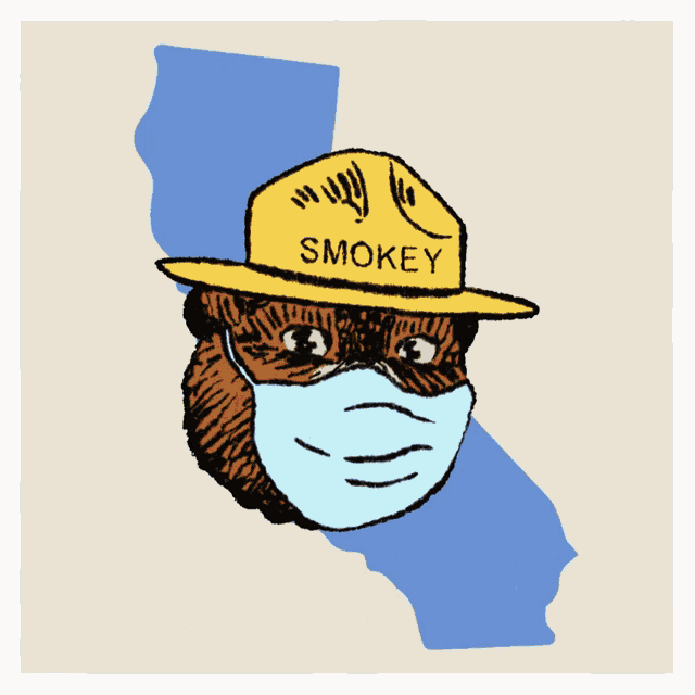 Only You Can Prevent The Recall Smoke The Bear GIF - Only You Can Prevent The Recall Smoke The Bear Keep Ca Blue GIFs