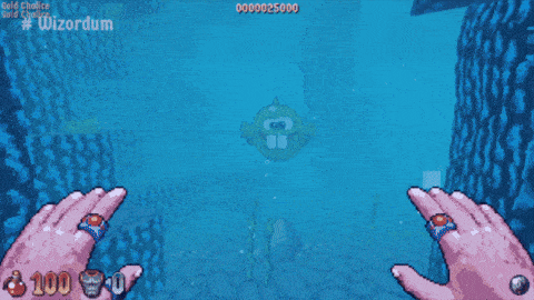 a screenshot of a video game that says wizardum at the top