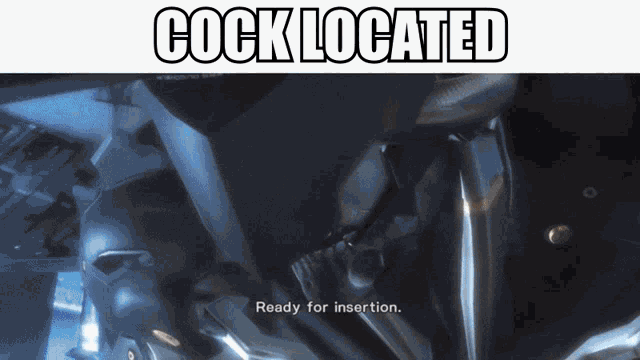 a screenshot of a video game with the words cock located at the top