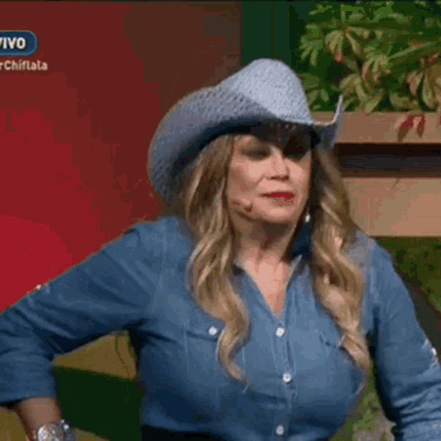 a woman wearing a cowboy hat and a denim shirt .