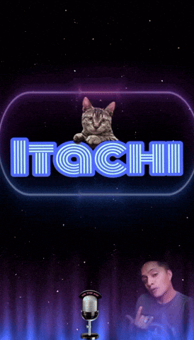 a cat sits on a microphone in front of a neon sign that says itochi