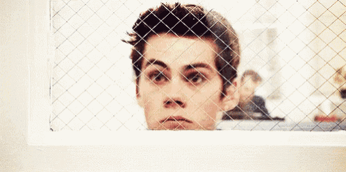 a close up of a man 's face behind a fence .