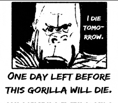 a black and white drawing of a gorilla says " i die tomo-rrow "