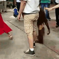a man in khaki shorts is standing in a crowd of people holding hands .