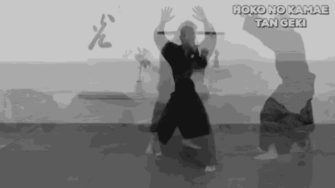 Hoko Kamae GIF - Hoko Kamae Kihon GIFs