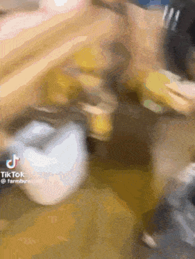 a blurred image of a person standing on a wooden floor with a tiktok logo in the corner