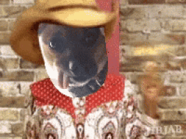 a picture of a dog wearing a cowboy hat and a red scarf .
