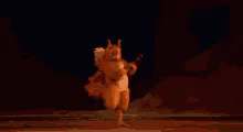 Squirrel Ballet GIF - Squirrel Ballet GIFs
