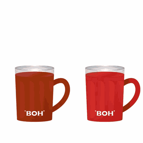 a cup of kopi teh o ' and a cup of teh o ' on a white background