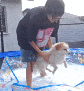 a girl in a black shirt with a pink penguin on it holds a small dog