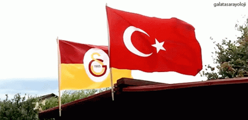 Galatasaray Bayrak GIF - Galatasaray Bayrak Süper Lig GIFs