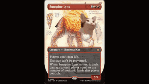 a card that says ' sunshine lynx ' at the top of it