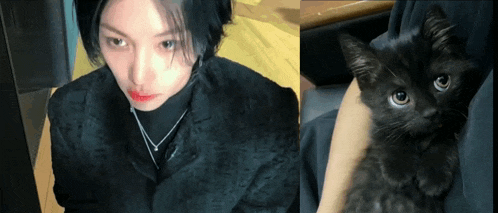 a black cat is being held by a woman in a black jacket