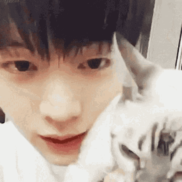 a close up of a young man holding a white cat in his arms .
