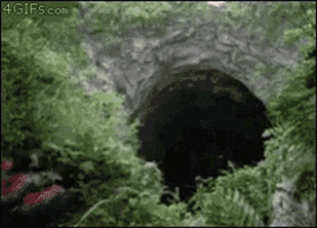 a person is standing in front of a large hole in the ground surrounded by trees .